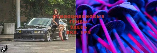крисы Алексин