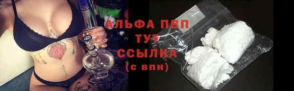 крисы Алексин