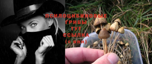 крисы Абинск