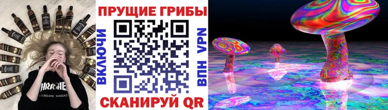 Псилоцибиновые грибы прущие грибы  блэк спрут онион  Талдом 